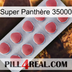 Super Panthère 35000 18